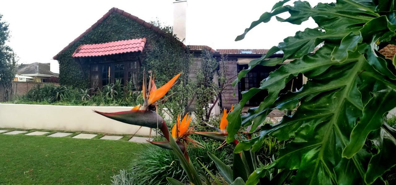 Gardenview Guest House Port Elizabeth Eksteriør bilde